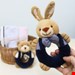 جغجغه پولیشی خرگوش نوزاد Jolly Baby