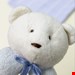 جغجغه دوناتی خرس آبی پاستیلی Mascot