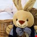 جغجغه پولیشی خرگوش نوزاد Jolly Baby